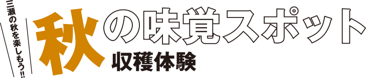 秋の味覚スポット 収穫体験