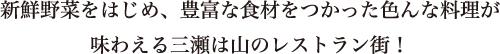 新鮮野菜をはじめ、豊富な食材をつかった色んな料理が味わえる三瀬は山のレストラン街！