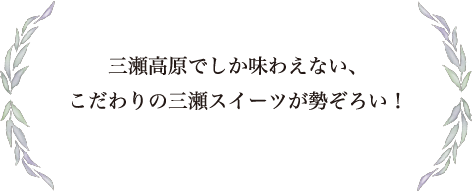 三瀬高原でしか味わえない、こだわりの三瀬スイーツが勢ぞろい！