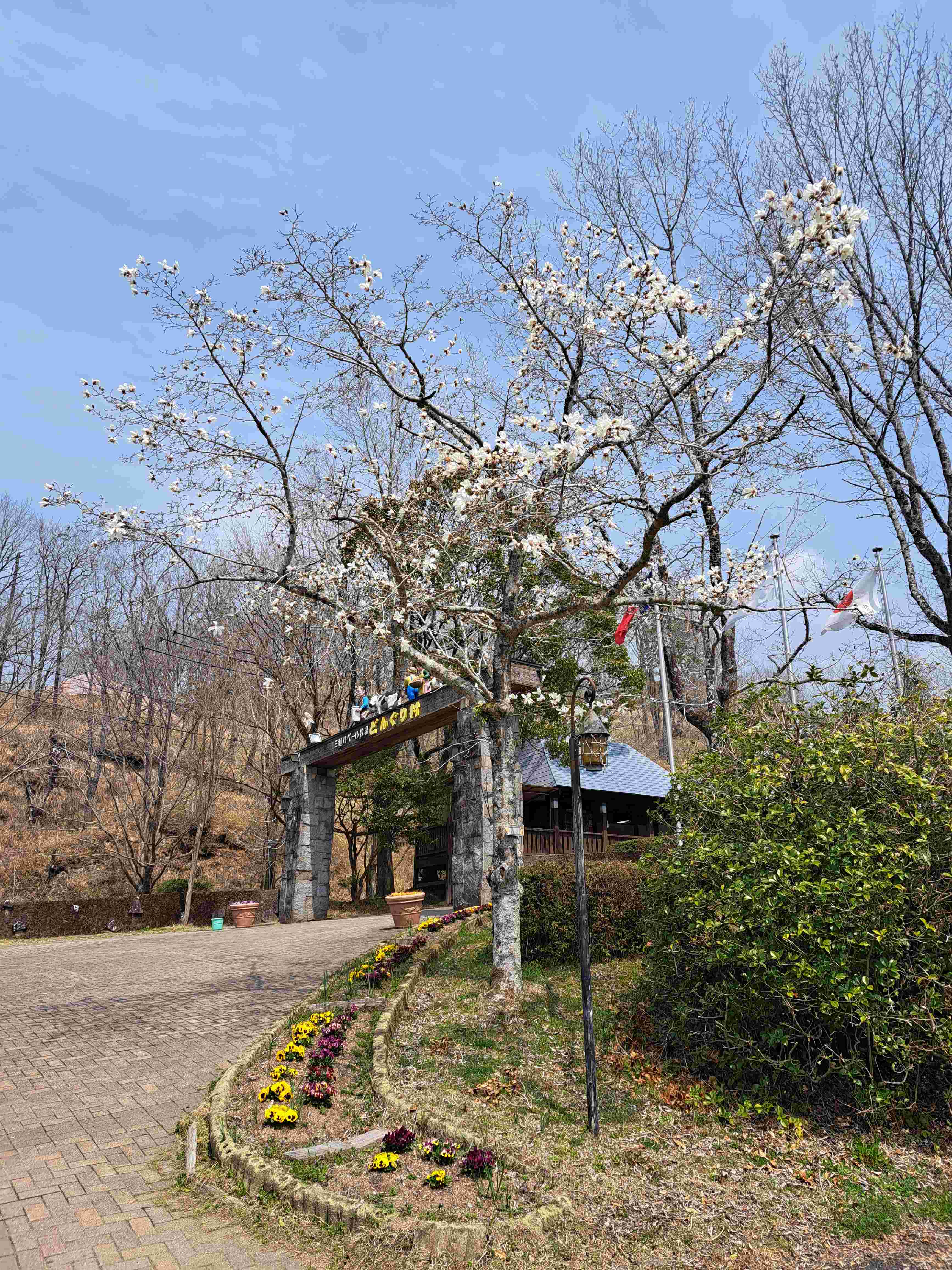 春です　ウェルカム　トゥ　みつせ高原