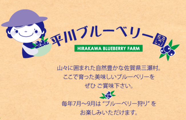 ★2016．7．9観光ブルーベリー園開園