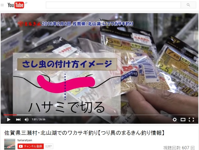 終盤のワカサギ釣り動画【まるきん釣具さん動画】