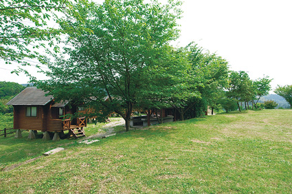 吉野山キャンプ場