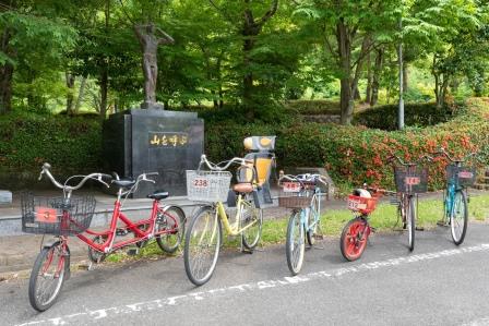 佐賀県立21世紀県民の森　総合案内センターほおのき