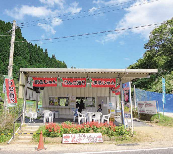 まるじゅんリンゴ園